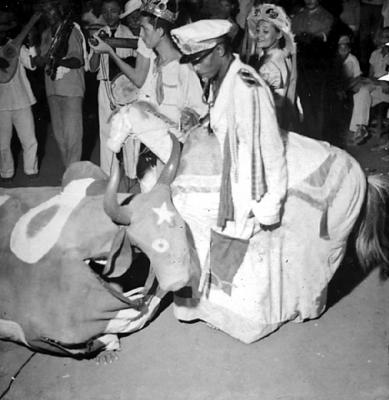 Cavalo Marinho, festa popular