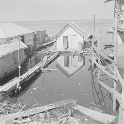 Palafitas flutuantes