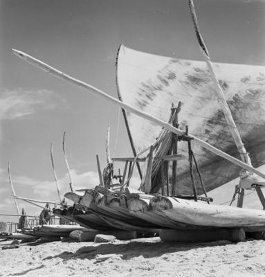 Jangadas e jangadeiros