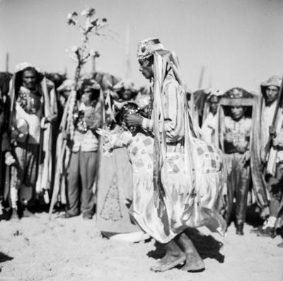 Bumba meu boi, festa popular