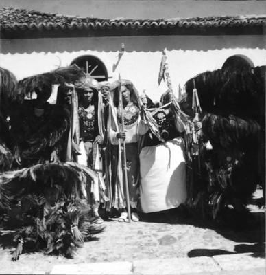 Bumba meu boi, festa popular