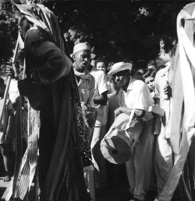 Bumba meu boi, festa popular