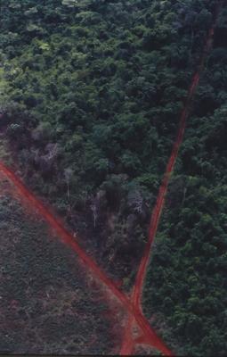 Vista aérea de estrada em meio à floresta