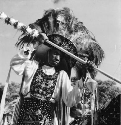 Bumba meu boi, festa popular