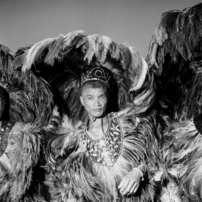 Bumba meu boi, festa popular