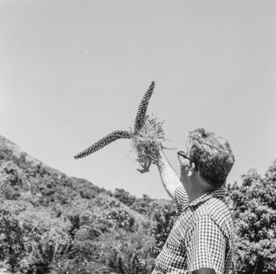 Roberto Burle Marx no Sítio Burle Marx