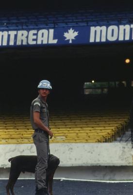 Jogo São Paulo x Botafogo