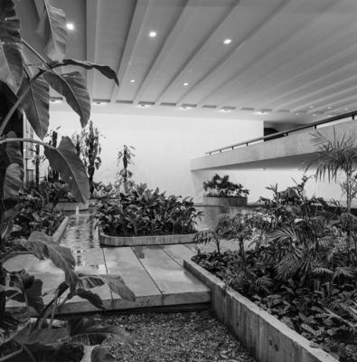 Palácio dos Arcos ou Palácio Itamaraty