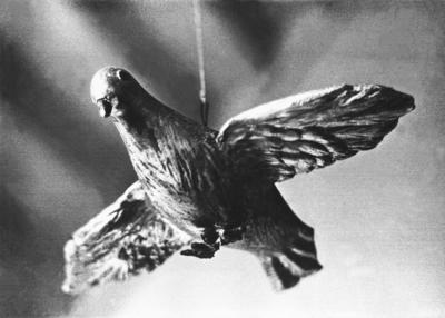 Paranoia: “pombas crucificadas"