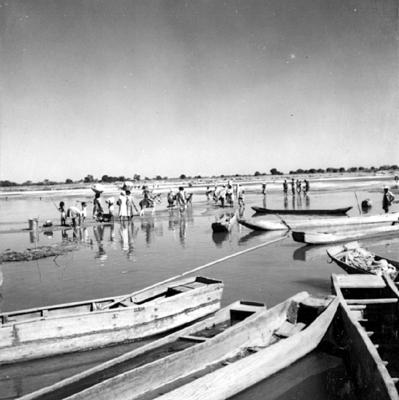 Cena do Rio São Francisco