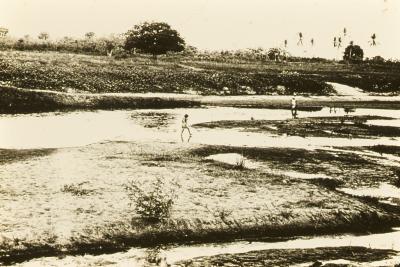 Proximidades do Engenho Itapuá