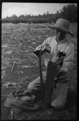 Autorretrato, plantio de milho