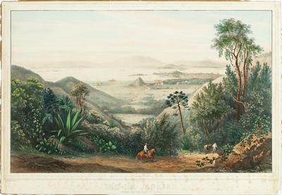 Rio de Janeiro Tomado de Boa-Vista da Fijuca