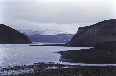 Aventuras de Igor na Antártida