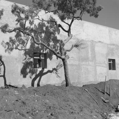 Universidade de Brasília