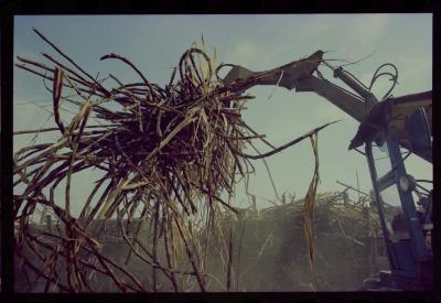 Produção de filme institucional sobre usinas de açúcar