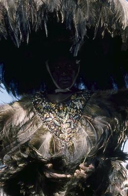 Série Bumba-meu-boi - Festa de São João