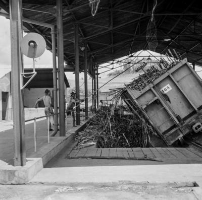 Usina Central Barreiros