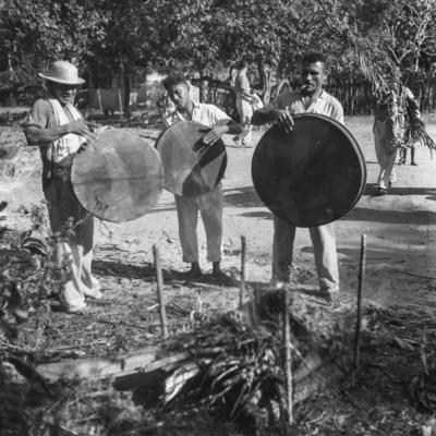 Bumba meu boi, festa popular