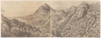 View from the Pinheiros - Corcovado 1400 feet above the level of the Sea - 20th December 1854 -
