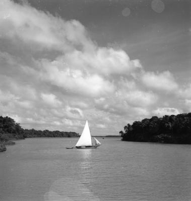 Série "Estrada de Ferro Tocantins"
