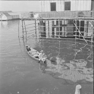 Palafitas flutuantes