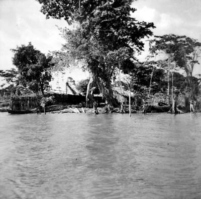 Rio Guamá