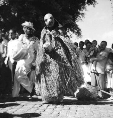 Bumba meu boi, festa popular
