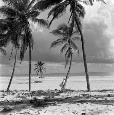 Jangadas e jangadeiros