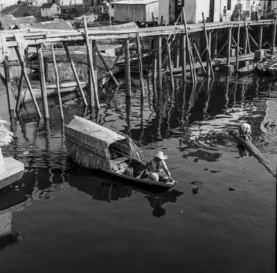 Palafitas flutuantes