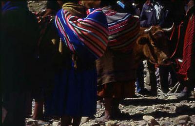 Série Bolívia - População local