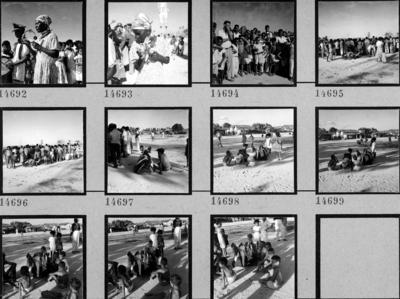 Bumba Meu Boi, festa popular