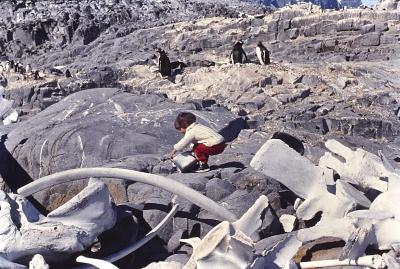 Igor Belli andando pelo cemitério de baleias