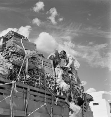 Trabalhadores carregando caminhão