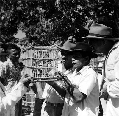 Feira dos Passarinhos