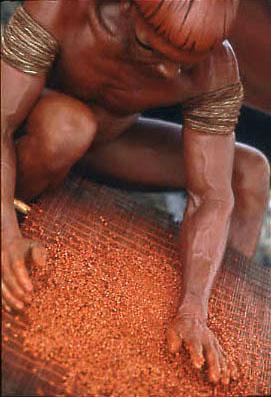 Série Xingu - Homem do povo Mehinako prepara a pasta de urucum