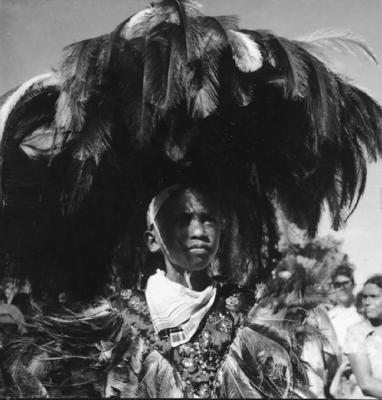 Bumba meu boi, festa popular