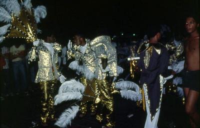 Série Carnaval - Integrantes de escolas de samba