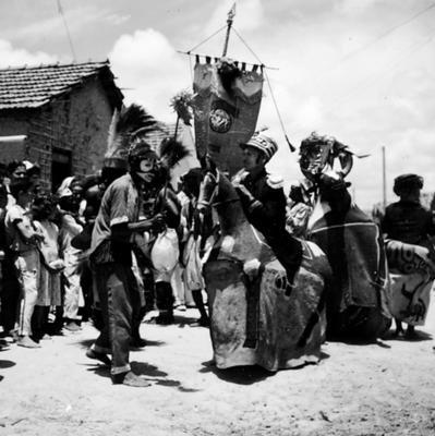 Bumba Meu Boi, festa popular