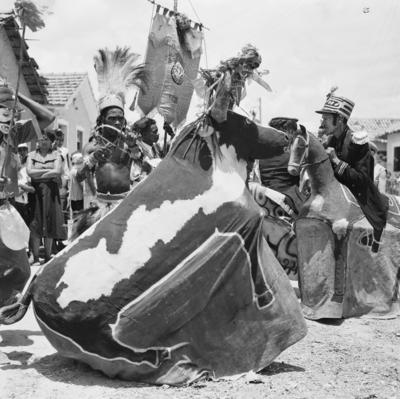 Bumba Meu Boi, festa popular