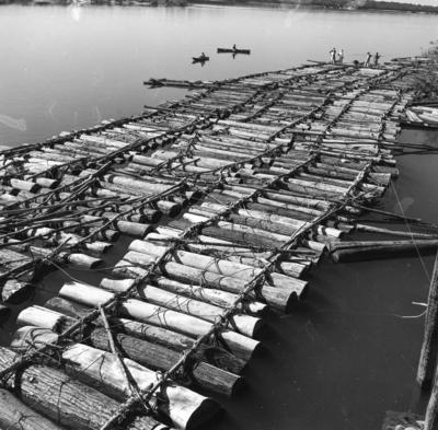 Tucuruí, Rio Tocantins