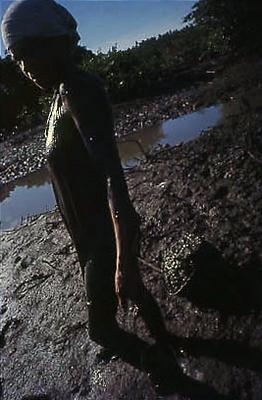 Série Caranguejeiras - Catadora de caranguejo