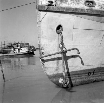 Vila da Barca, barcos