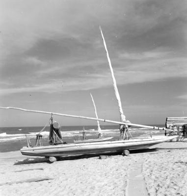 Jangadas e jangadeiros