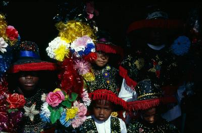 Série Bumba-meu-boi - Festa de São João