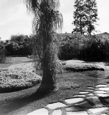 Paisagismo de Burle Marx em residência de Minas Gerais
