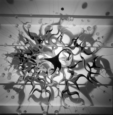 "Revoada dos pássaros", lustre de Pedro Correia de Araújo, na Sala D. Pedro I