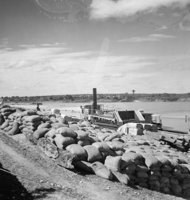 Trabalhadores descarregando barco