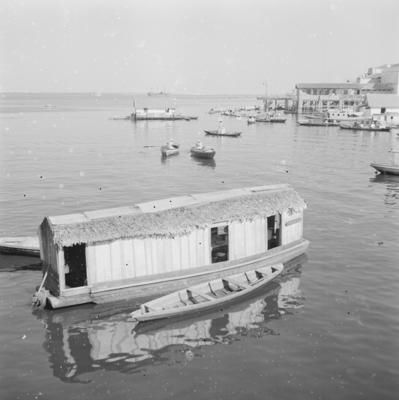 Palafitas flutuantes