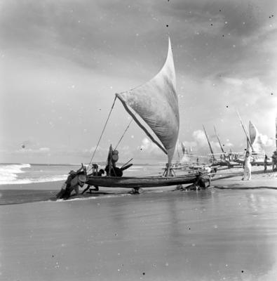 Jangadas e jangadeiros